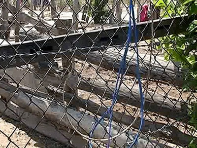 Dây điện dính hàng rào làm bé gái 13 tuổi tử vong