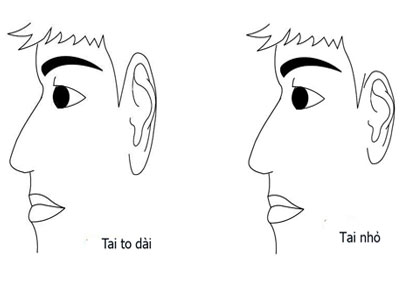 Đôi tai tiết lộ sự phú quý của bạn