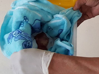 Đau đớn những hộp quà chứa hài nhi bí mật chuyển trên xe buýt