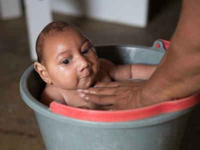 Tìm ra điểm yếu của virus Zika