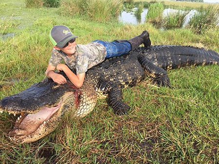 Bắt cá sấu nặng gần 300 kg ngay trong ao nhà