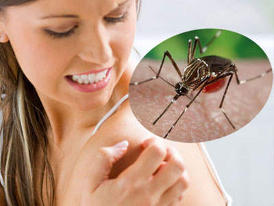 Phụ nữ chưa có thai nhiễm Zika ảnh hưởng thế nào đến đường con cái