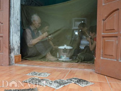 Ruồi nhặng đen đặc phát hãi, ăn cơm cũng... mắc màn