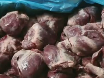Tim đông lạnh từ 1982 nguy hiểm như thế nào?