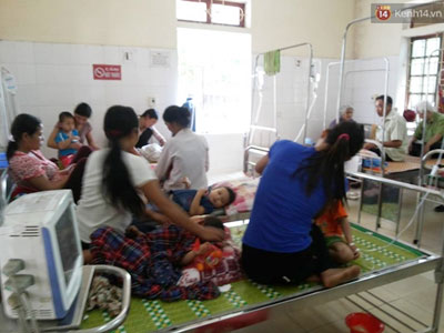 Ong rừng tấn công, 17 học sinh mầm non phải nhập viện khẩn cấp