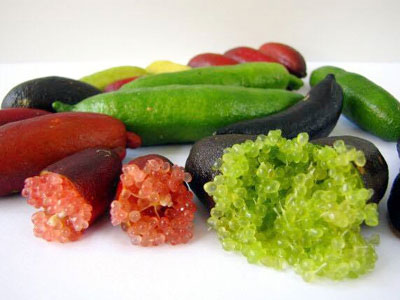 Chanh ngón tay 3,5 triệu/kg: Đắt gấp 100 lần vẫn săn mua
