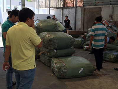 Băng trộm "tấn công" sân bay Tân Sơn Nhất
