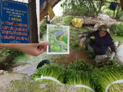 Sự thật khủng khiếp ở vựa rau an toàn cung ứng chợ đầu mối Thủ đô