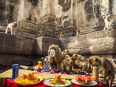 Những lễ hội lạ lùng trên thế giới