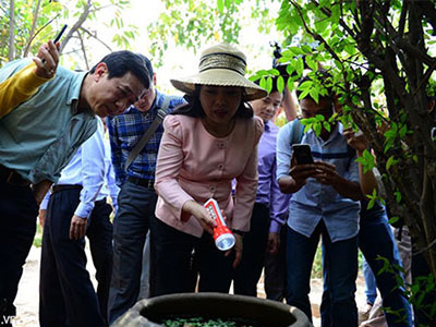 Ngày mai TP HCM công bố hết dịch Zika