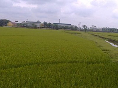 Kẻ cuồng dâm ép nhiều phụ nữ 40 tuổi ra đồng cưỡng hiếp