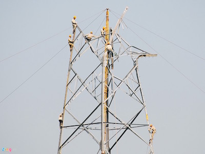 Cắt, dỡ cột điện cao thế 500kV bị giông lốc quật đổ