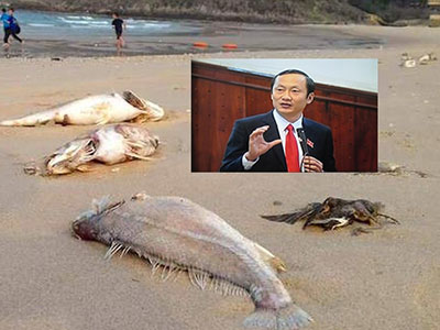 Dân mời Phó Chủ tịch Hà Tĩnh "xơi" cá, tắm biển Vũng Áng