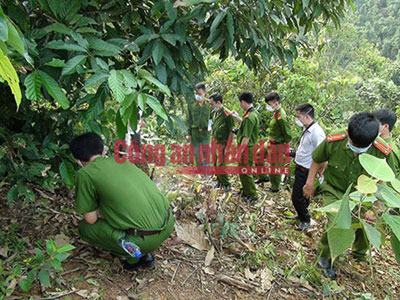 Phát hiện xác người phụ nữ bị trói tay trong rừng