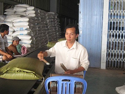 Muốn xuất khẩu gạo phải lập công ty tại… Singapore