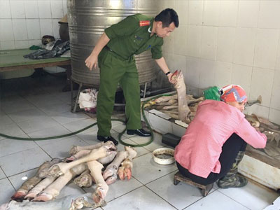 Vó bò hôi thối luộc bán cho quán nhậu
