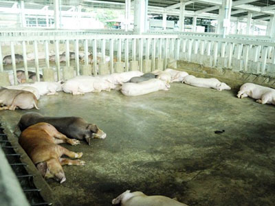 Ảnh bìa bài viết 358231