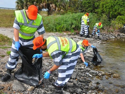 Quy trình thu gom hàng nghìn con cá chết ở bang Florida