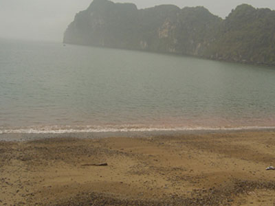Chuyên gia phản bác nguyên nhân thuỷ triều đỏ làm chết cá