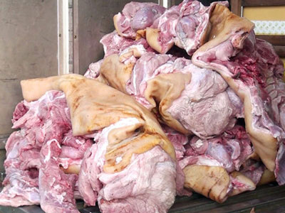Chặn gần 1 tấn heo thối giả heo rừng lên bàn nhậu