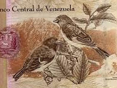 Lạm phát 500%, Venezuela thậm chí không có tiền để in thêm tiền