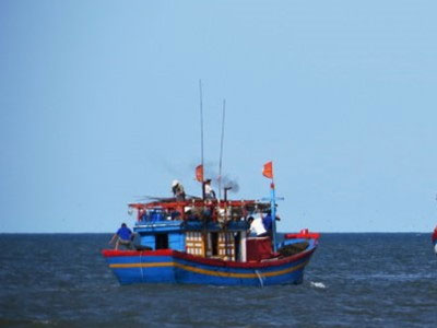 Cấp chứng nhận an toàn cho cá đánh bắt xa bờ