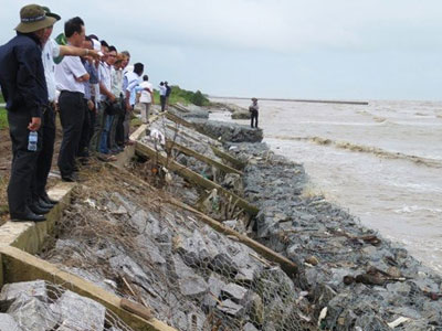 Mỗi năm, Cà Mau mất 450 ha đất ven biển do sạt lở