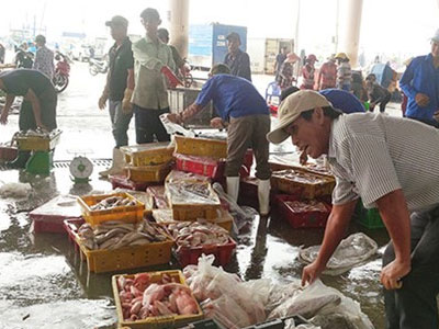 Người Mỹ, Nhật, Úc... ăn mạnh cá biển miền Trung