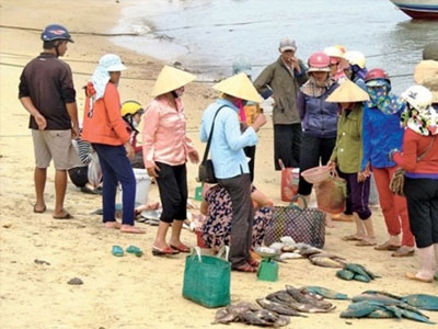 Thêm một số khu vực ven biển có hiện tượng cá chết cục bộ