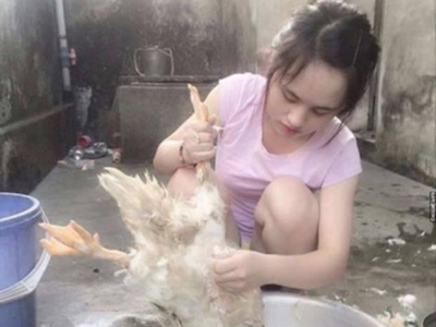 Dân mạng truy tìm "Cô gái làm lông vịt xinh nhất Vịnh Bắc Bộ"