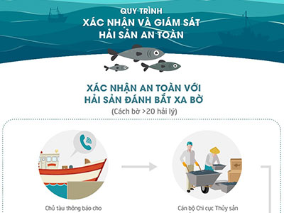 (Infographic) Hải sản được kiểm tra bảo đảm an toàn ra sao?