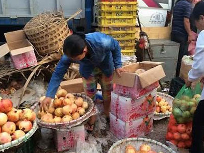 Tẩy chay hàng Tàu, ngàn tấn hoa quả TQ ai ăn hết?