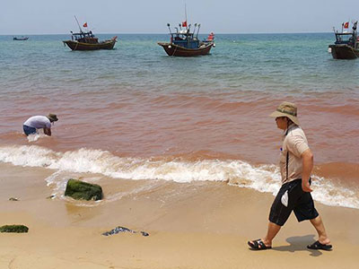 Vệt nước ở Quảng Bình không phải là thủy triều đỏ