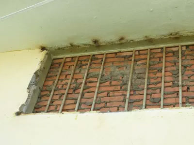Ẩu đả tại viện pháp y tâm thần, 2 người tử vong