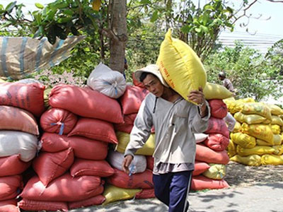 Thái Lan xả kho gạo khổng lồ, gạo Việt "nín thở"