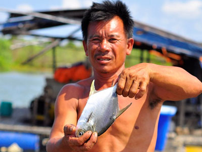 Ngư dân bị siết nợ vì cá chết hàng loạt