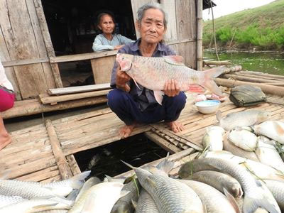 Người nuôi cá sông Bưởi: "Cá chết hết rồi, lấy gì mà ăn"