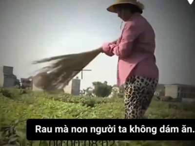 Phóng viên VTV3 xin lỗi vì dàn dựng clip dân quét chổi lên rau?