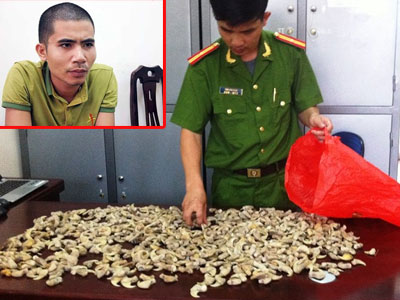 Trữ gần 700 móng vuốt nghi của chân hổ trong nhà
