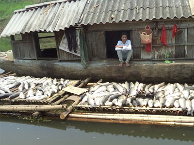Thanh tra toàn diện các cơ sở xả thải ra sông Bưởi