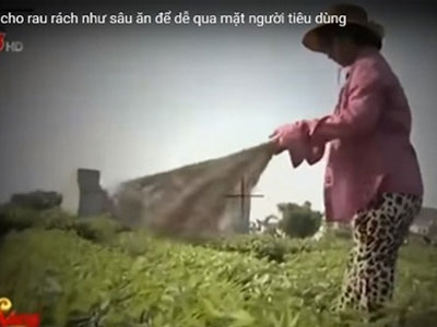 Thông tin mới nhất về lùm xùm sau phóng sự "cây chổi quét rau"