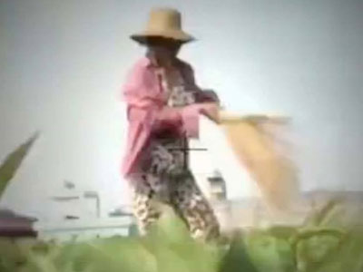 VTV đình chỉ phóng viên thực hiện clip "dùng chổi quét rau"