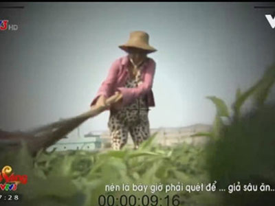 Yêu cầu VTV giải trình về phóng sự “Cây chổi quét rau”