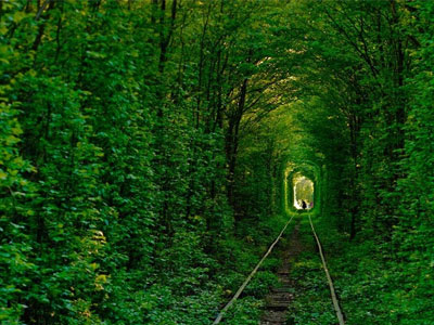 Câu chuyện thú vị về "đường hầm Tình yêu" ở Ukraine