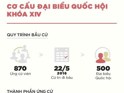 Cơ cấu đại biểu Quốc hội khóa XIV