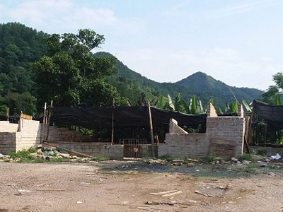 Lạng Sơn vắng bóng xe chở lợn xuất sang Trung Quốc