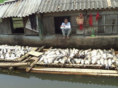 Phạt 3 đơn vị xả thải ra sông Bưởi gần 4 tỷ