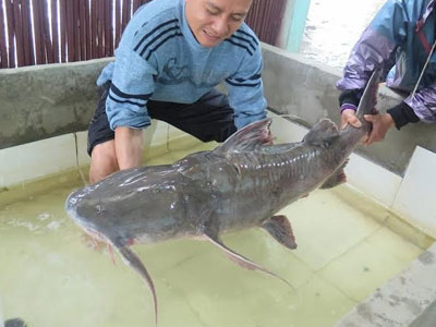 Ảnh bìa bài viết 363261