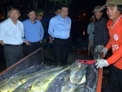 Chủ tịch Đà Nẵng bất ngờ thăm, động viên ngư dân lúc giữa đêm