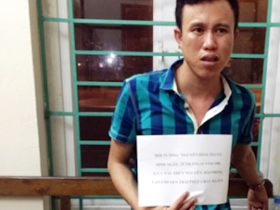 Ma túy "đông trùng" từ Trung Quốc tuồn vào Việt Nam